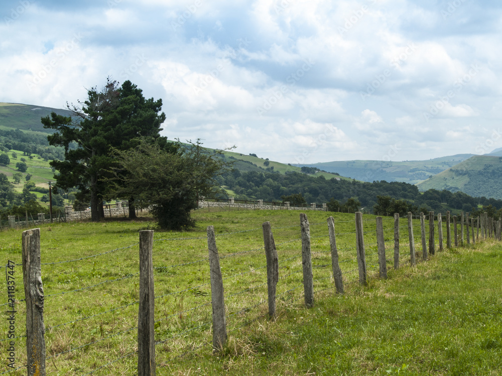Verde campo con vallado y Árbol en las colinas de Cantabria con cielo azul nublado