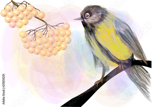 Bird and  Berries