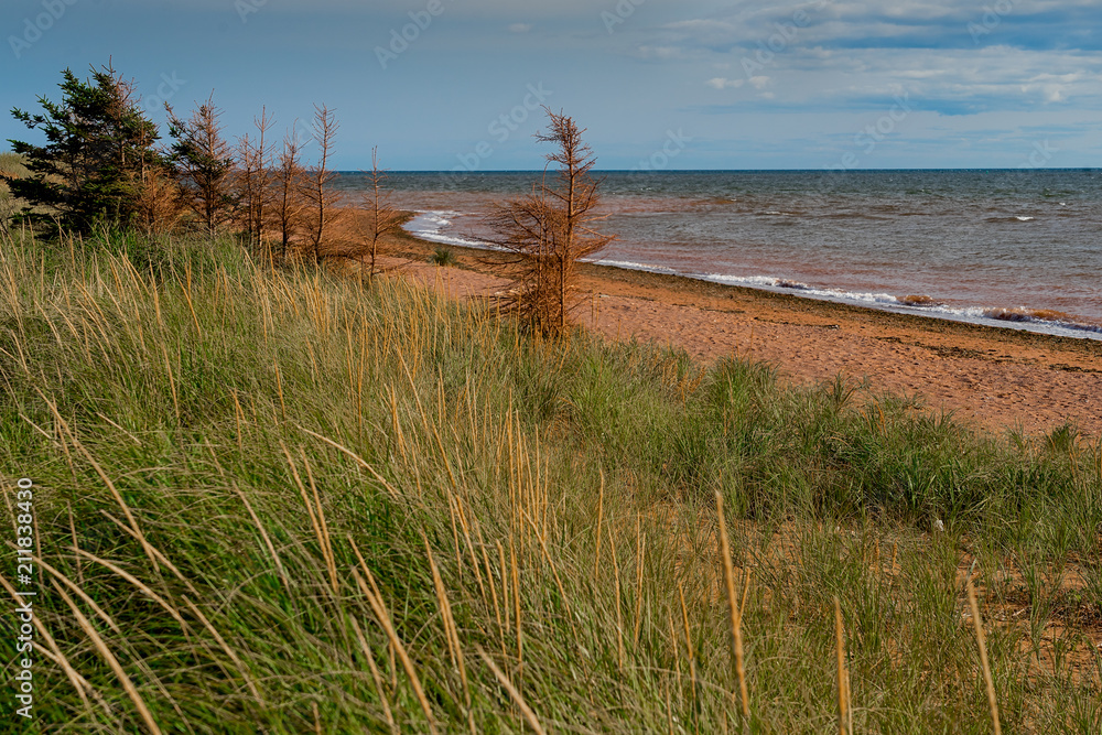 Abondoned Prince Edward Island beach.