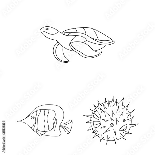 A variety of marine animals outline icons in set collection for design. Fish and shellfish vector symbol stock web illustration.