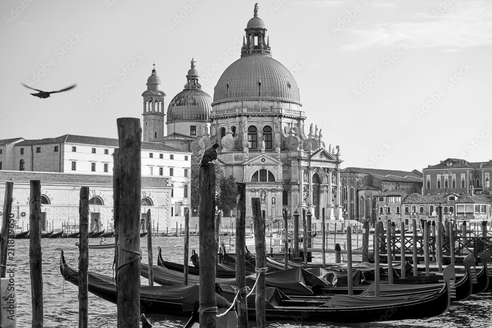Gondolas and Santa Maria della Salute church in Venice