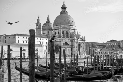 Gondolas and Santa Maria della Salute church in Venice