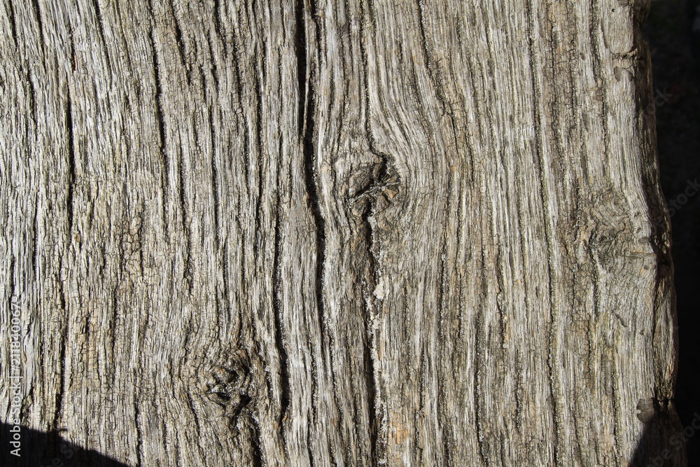 Holztextur Holztextur