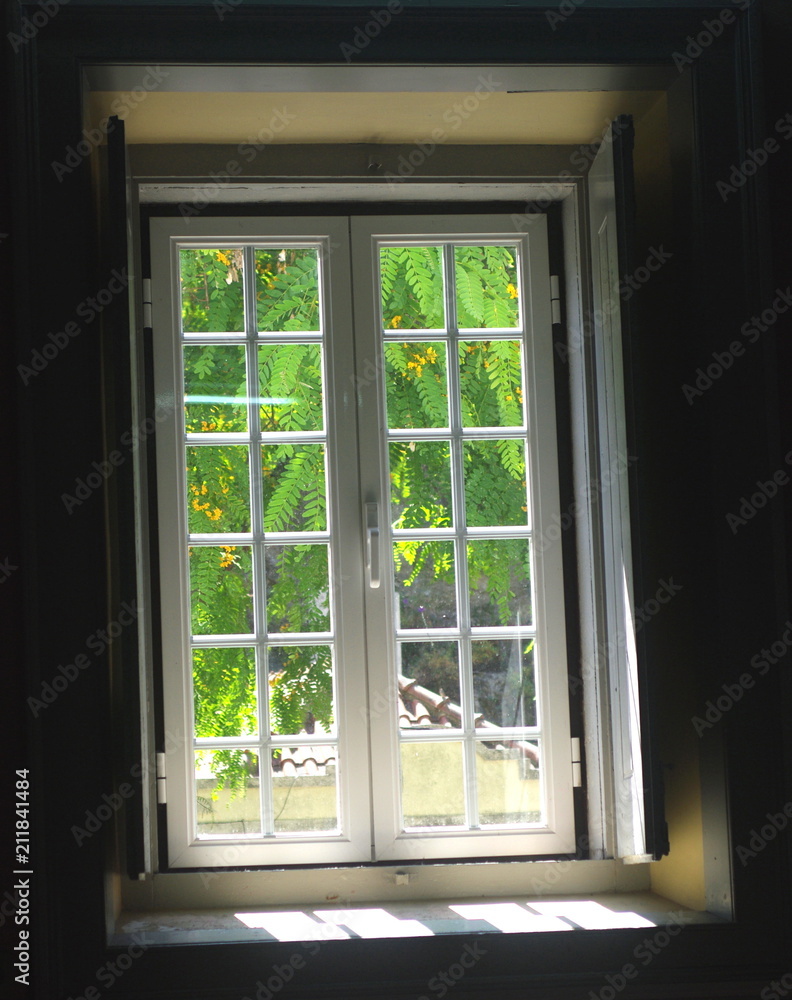 Obraz premium Window to Garden