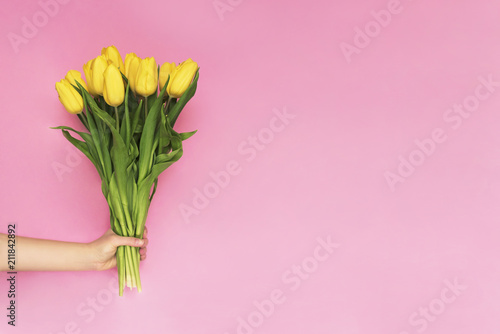 Woman hand holding yellow tulip flowers on pink background. Flat lay, top view. Tulip flower background. Add your text. © YM studio