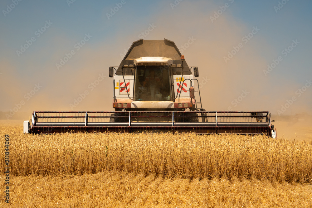 Fototapeta premium Combine harvester for harvesting wheat.