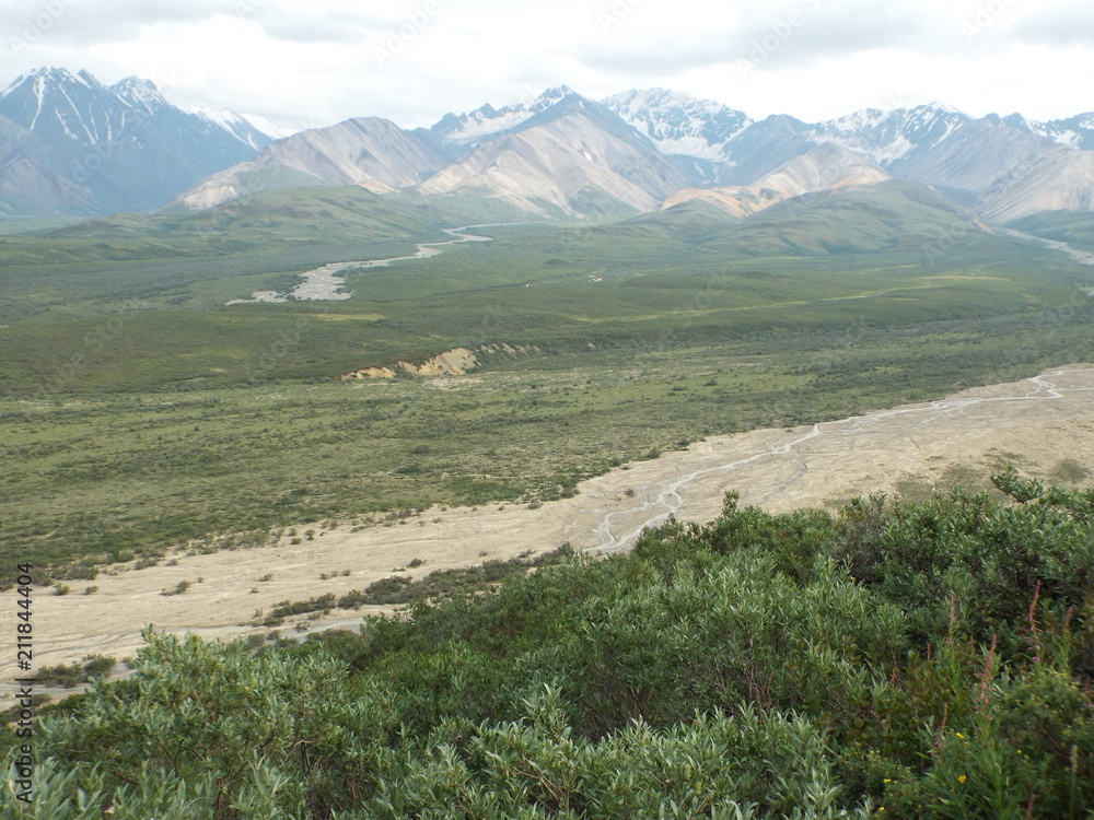 Naklejka premium Denali