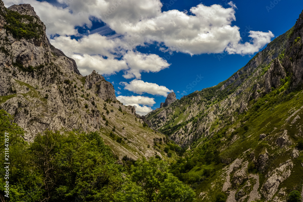 Fototapeta premium Bulnes