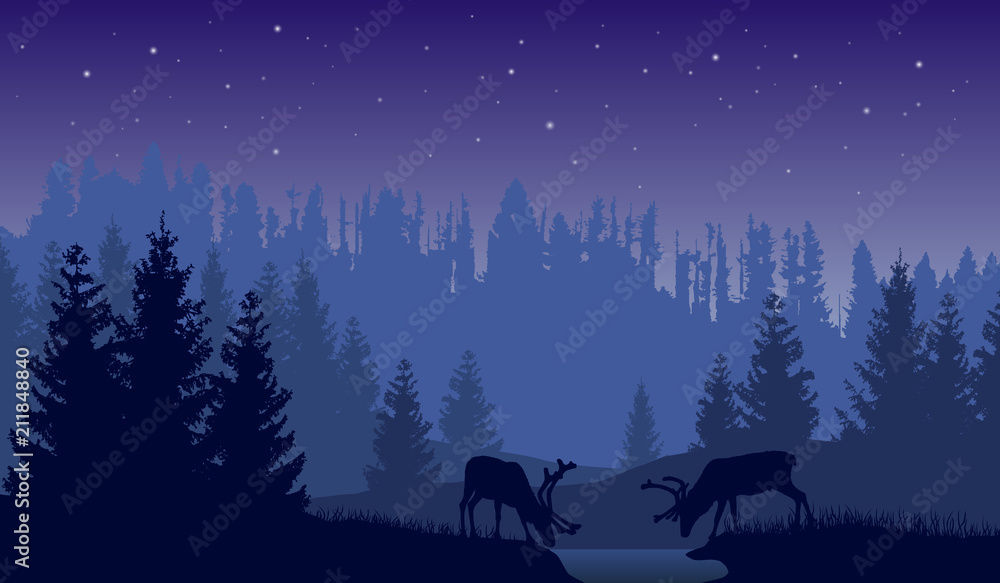 Vector landscape of two deer in a forest at night with dark blue ...