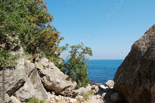 sea, rocks, trees and sky