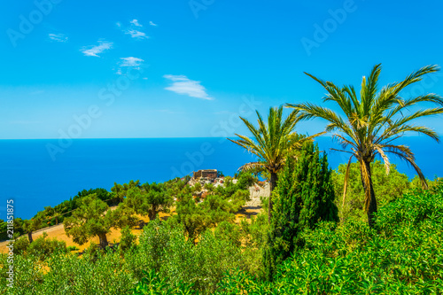 Gardens at Monestir de Miramar at Mallorca, Spain photo