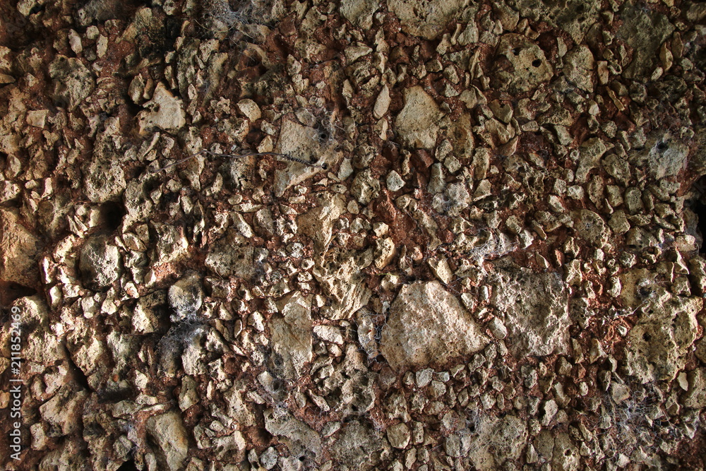 Shell stone texture. background shell rock Shell stone texture. background shell rock