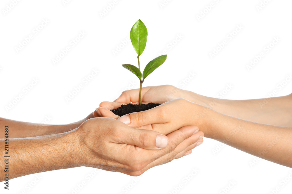 Woman and man holding soil with green plant in hands on white background. Family concept Woman and man holding soil with green plant in hands on white background. Family concept