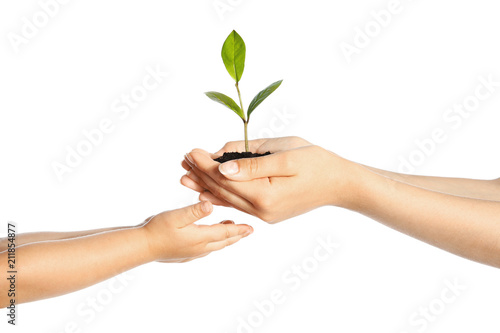 Woman passing soil with green plant to her child on white background. Family concept