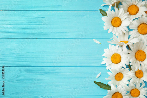 Beautiful chamomile flowers on color wooden background, top view © New Africa