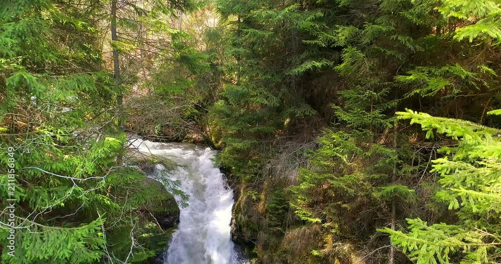 Aerial view of a forest waterfall, summertime Aerial view of a forest waterfall, summertime