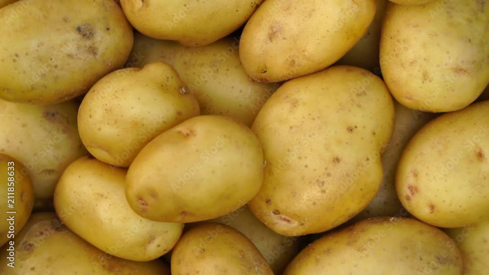Potato pile rotating motion background. Potato pile rotating motion background.