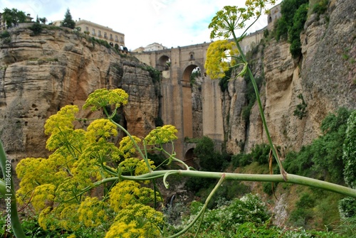 PUENTE NUEVO - RONDA - SPAIN