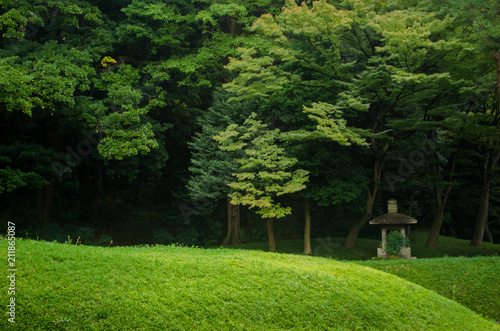 Fototapeta Naklejka Na Ścianę i Meble -  Beautiful green japanese landscape