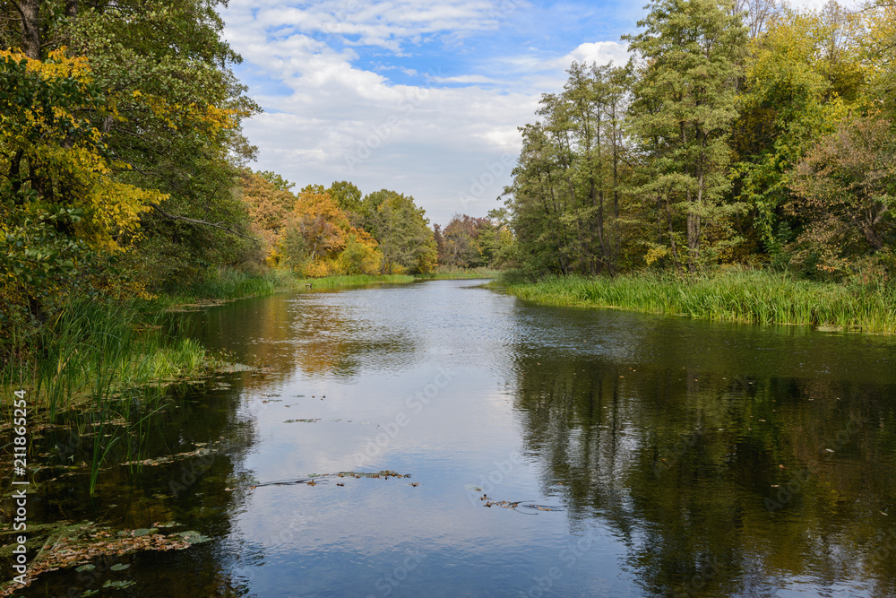 The picturesque autumn forest on the river Bank, in autumn all nature is transformed into new colors The picturesque autumn forest on the river Bank, in autumn all nature is transformed into new colors