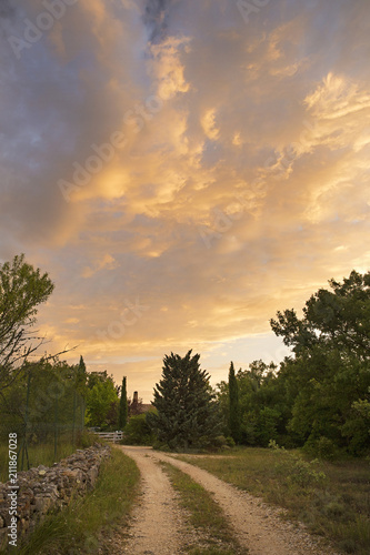 Country road in provence