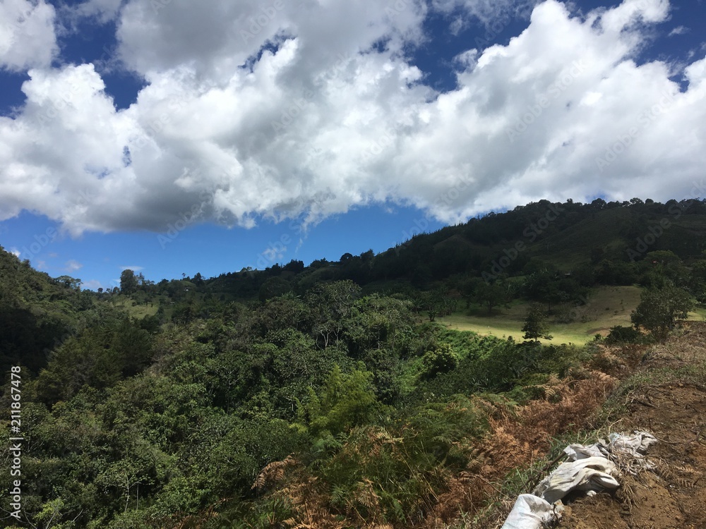 Fototapeta premium Paisaje lleno de naturaleza
