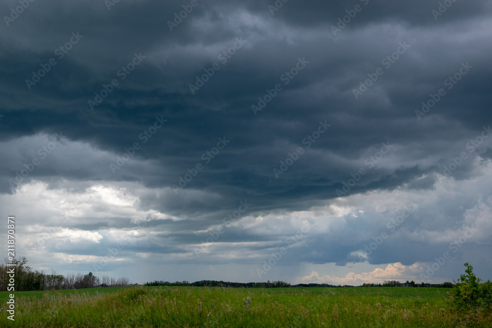 Approaching storm clouds above a canola field, Saskatchewan, Canada.