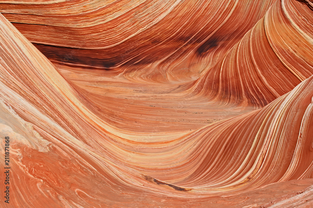 The Wave close up, Arizona The Wave close up, Arizona