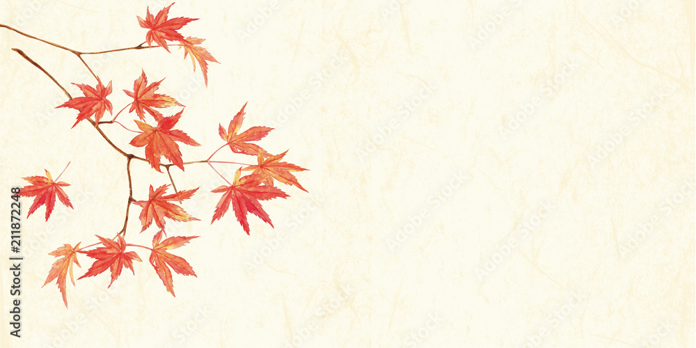 紅葉水彩和紙背景stock Illustration Adobe Stock