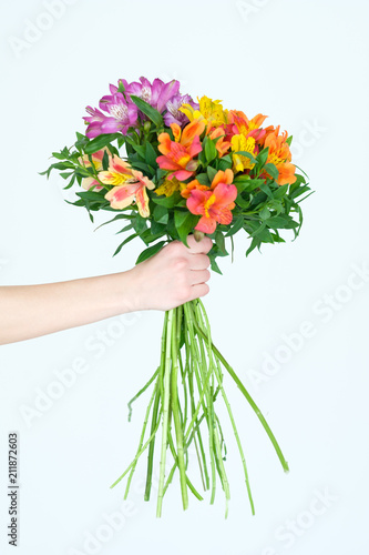 flower delivery. hand holding colorful alstroemeria bouquet on white background. festive floral arrangement