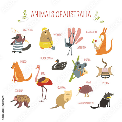 Australian animals vector cartoon design