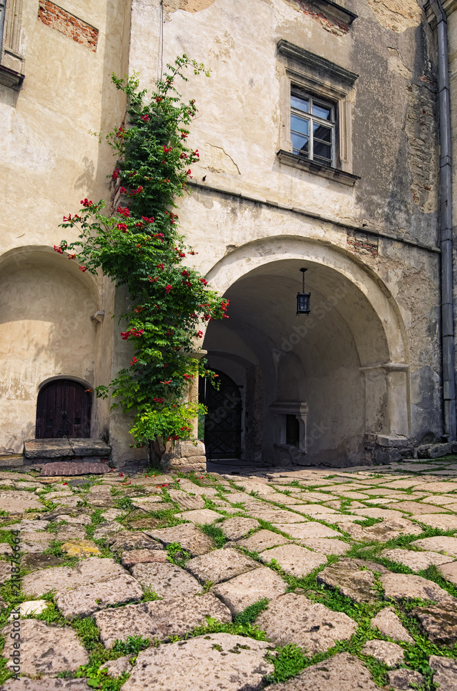 View of gate in ancient Olesko castle. Courtyard in castle. Lviv region in Ukraine. Cloudy summer day