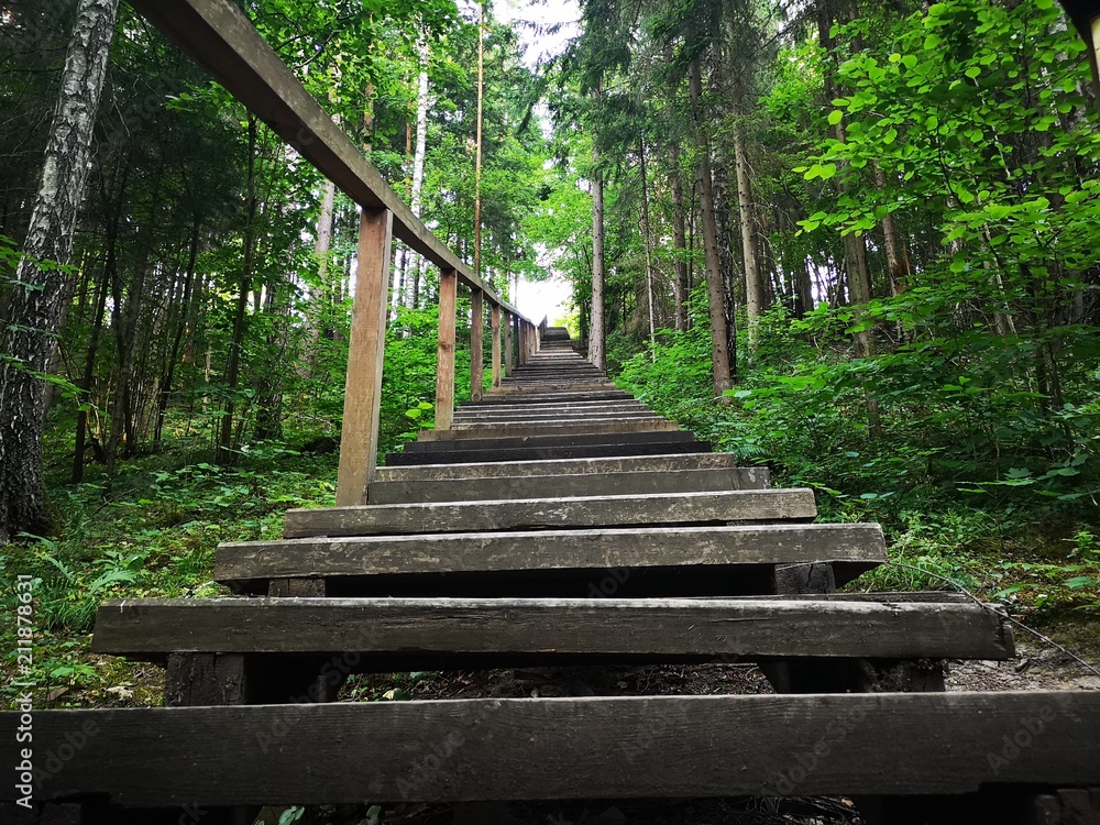 Fototapeta premium A lot of steps up to a hill