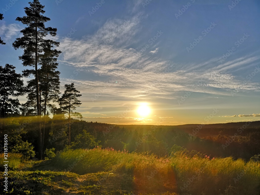 Beautiful sunset over a vast forest from a hill Beautiful sunset over a vast forest from a hill