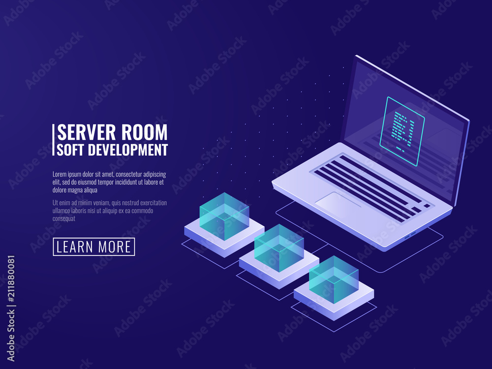 Data processing, software program development, code review, database concept, isometric vector Data processing, software program development, code review, database concept, isometric vector