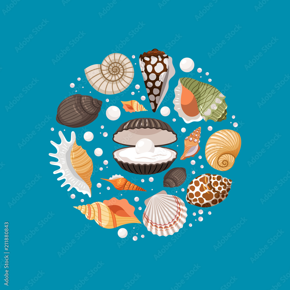 Cartoon sea shells round banner design Stock Vector | Adobe Stock