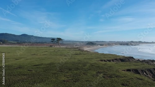 Slow aerial shot of two beautiful trees along the coast, eventually panning over to beach and ocean near sunset. photo