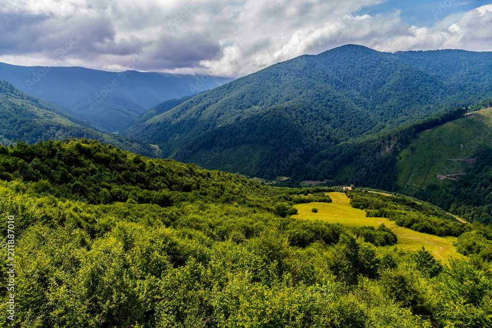 A picturesque view of a cozy forest glade on a hillside near a huge green mountain valley