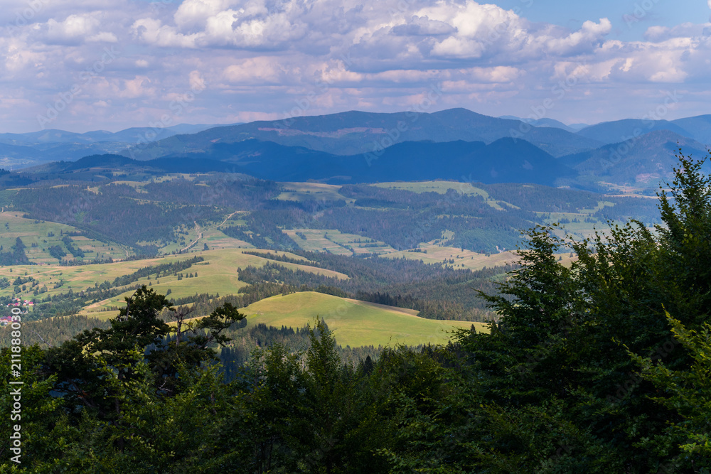 The tops of tall coniferous trees against the backdrop of a beautiful landscape with small forest clearings and huge mountains