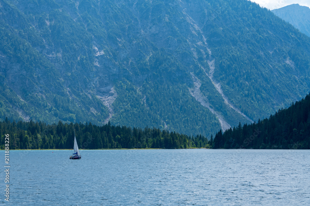 Naklejka premium Plansee