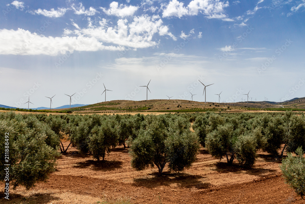 Granada, Spain; July 03, 2018: Field of olive trees and in the background helices of renewable heolic energy in Padul