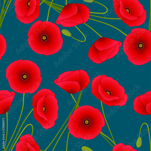 Fototapeta Naklejka Na Ścianę i Meble -  Red Corn Poppy on Indigo Blue Background.