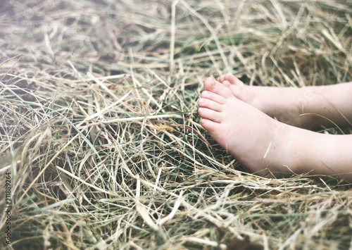 baby's feet on the hay