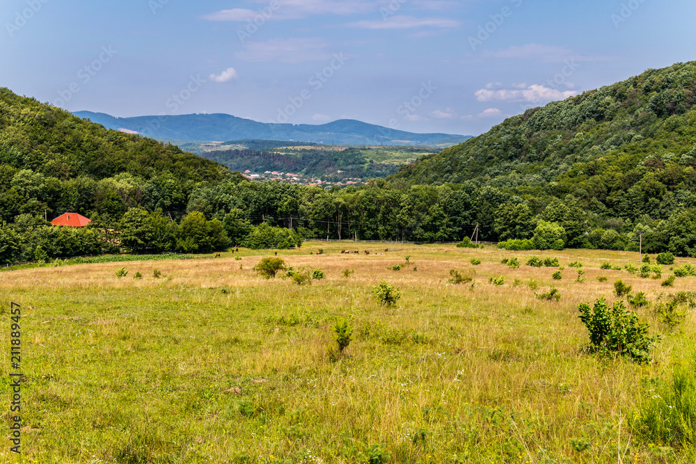 a green meadow between two wooded mountains near the Transcarpathian village