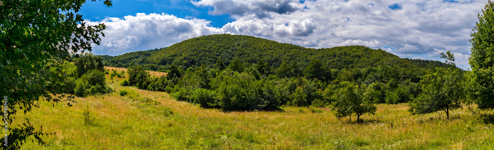 Fototapeta premium mountain, covered with green trees, under a blue sky with clouds