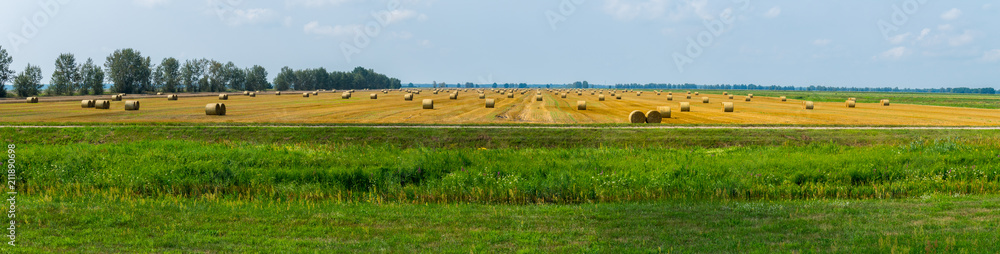 A huge field with a lot of beveled and gathered in a stack of grass