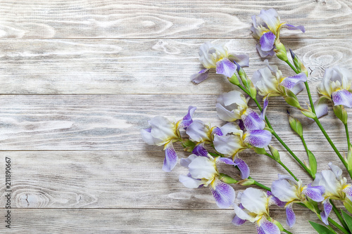 Fototapeta Naklejka Na Ścianę i Meble -  Image with iris.