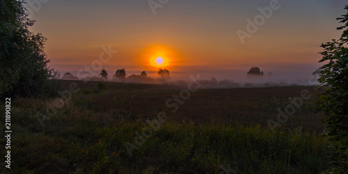Wild wildflowers and green trees in the fog against the backdrop of the setting sun