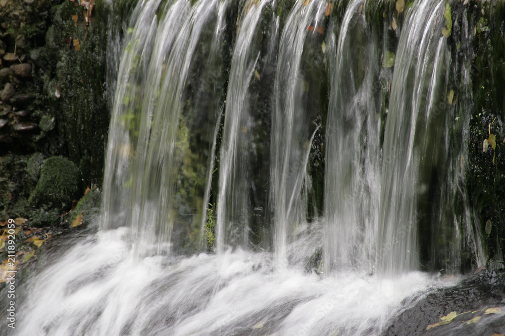 Obraz premium faune et flore 