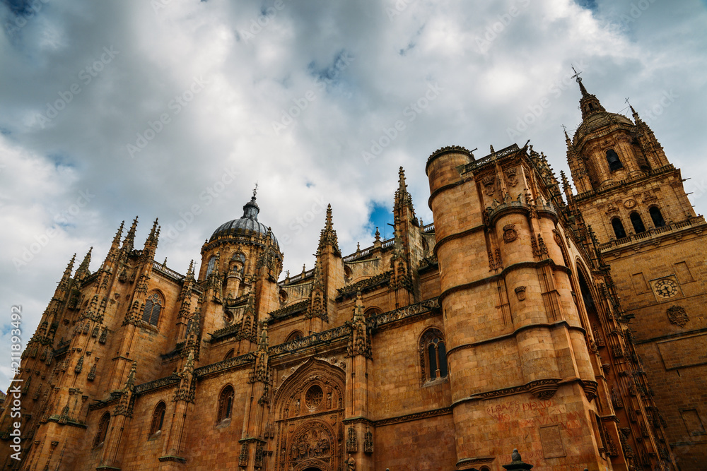 Old Cathedral, Catedral Vieja, in Salamanca, Castilla y Leon, Spain - UNESCO World Heritage Site